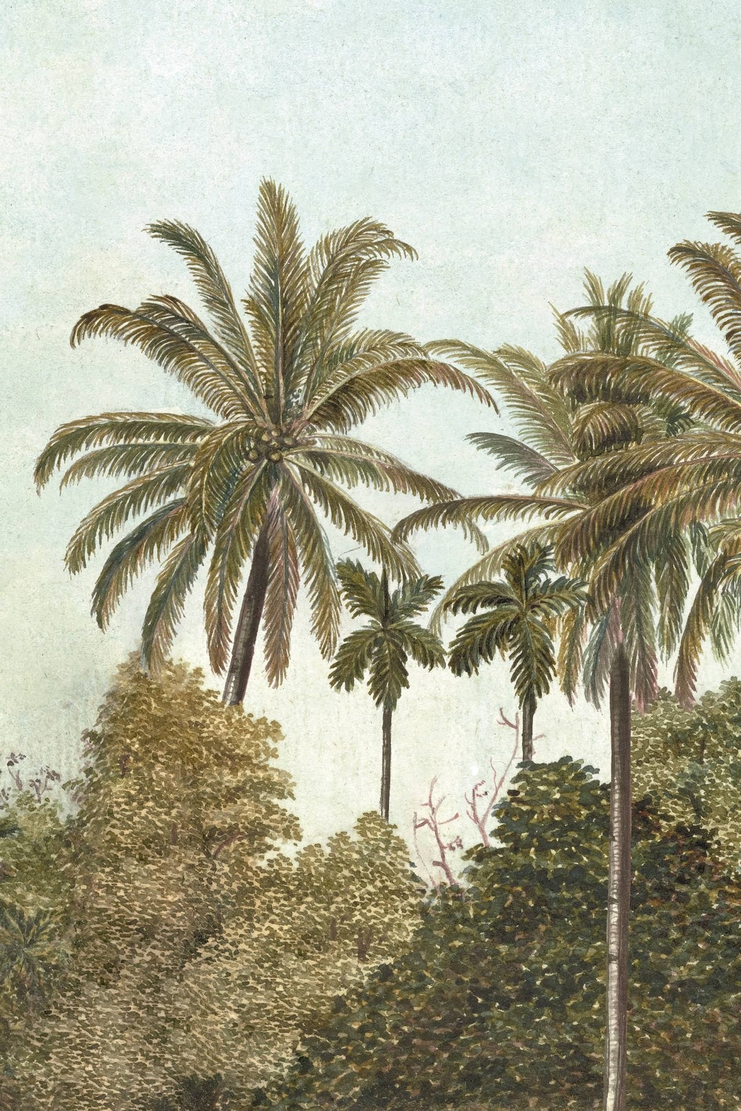 Papier peint Voyage à Java