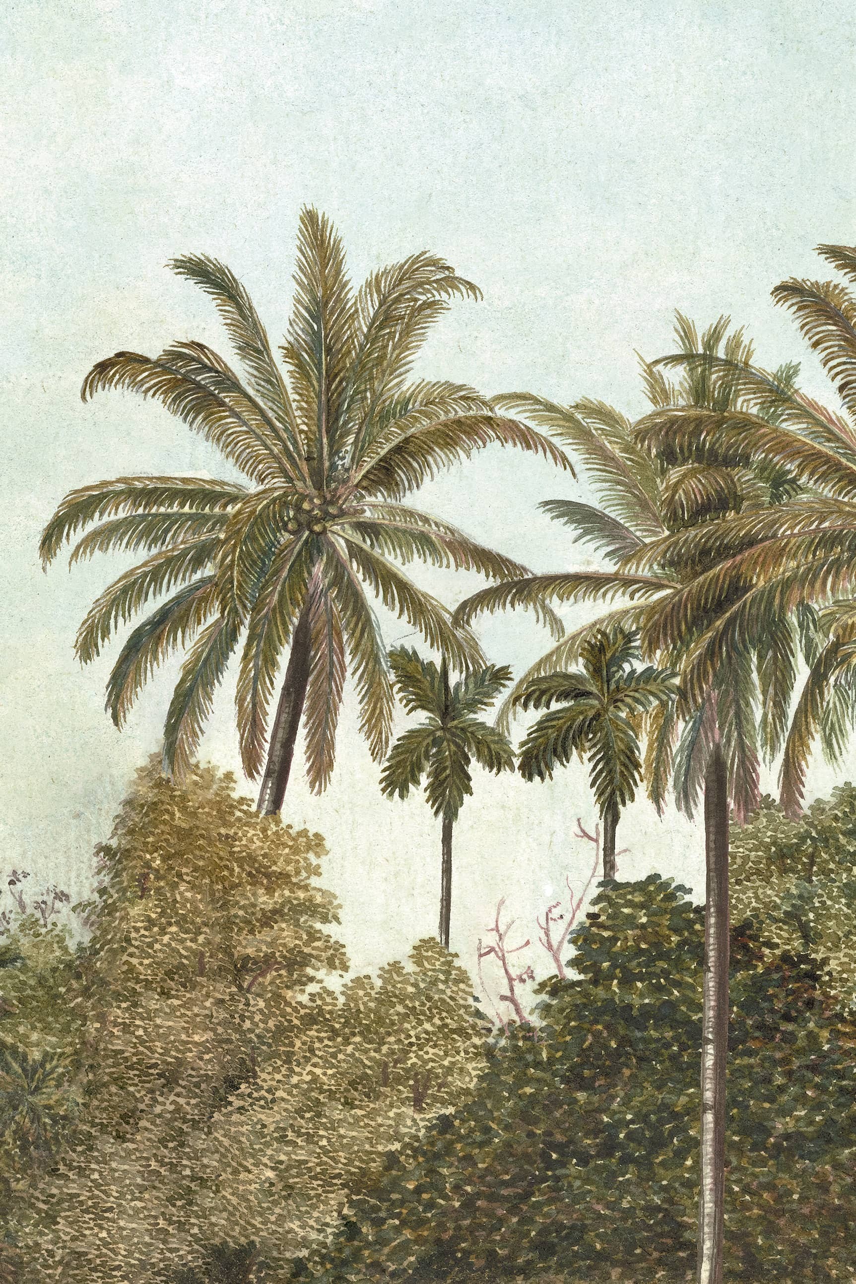 Papier peint Voyage à Java