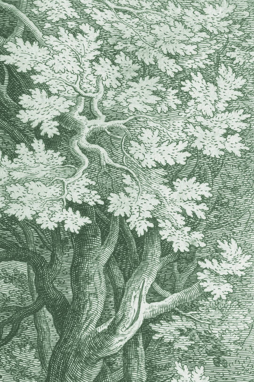Papier peint gravure Le bois de Pierre