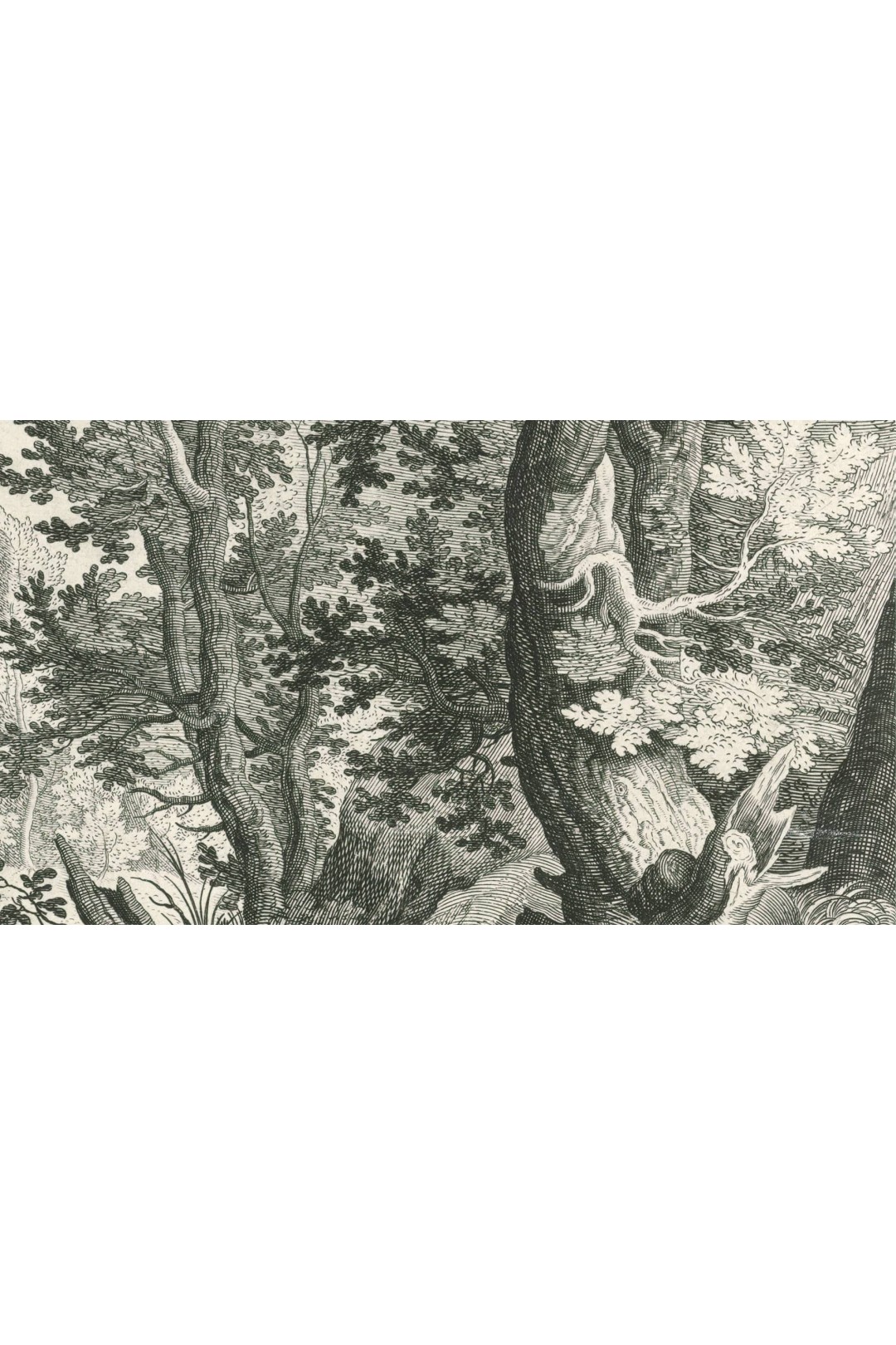 Zoom branches et ombres papier peint forêt panoramique Le Bois de Jacques