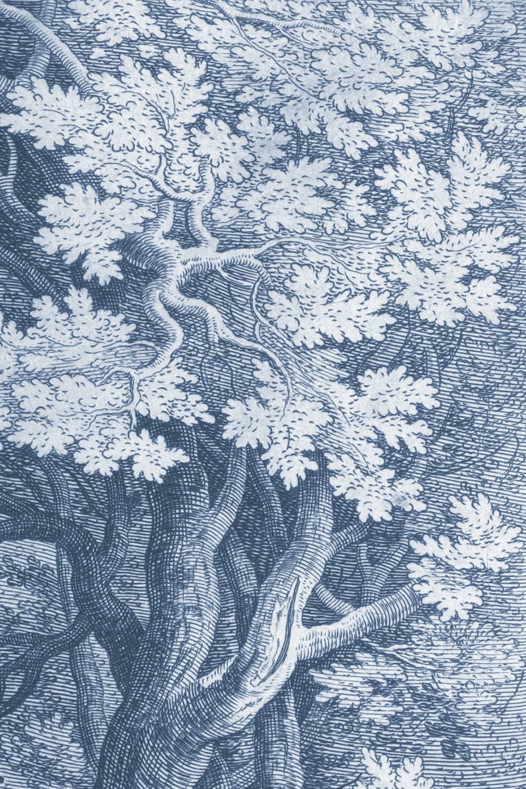 Papier peint gravure Le bois de Mathieu