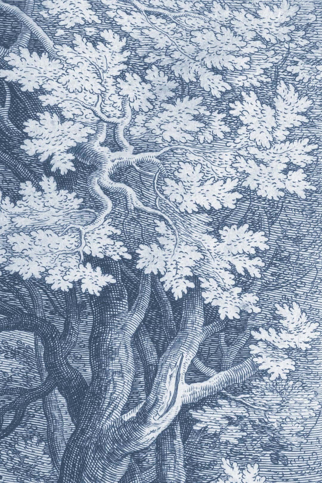 Papier peint gravure Le bois de Mathieu