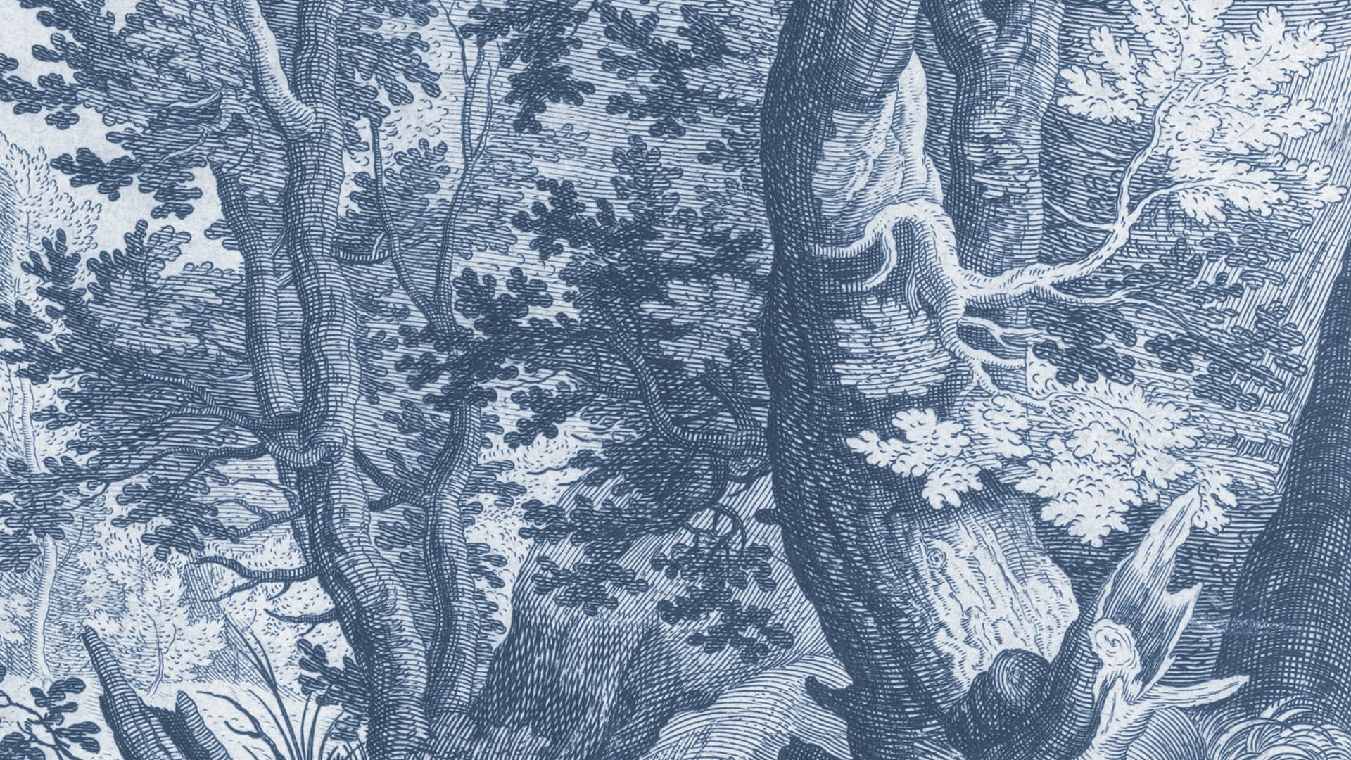 Papier peint gravure Le bois de Mathieu