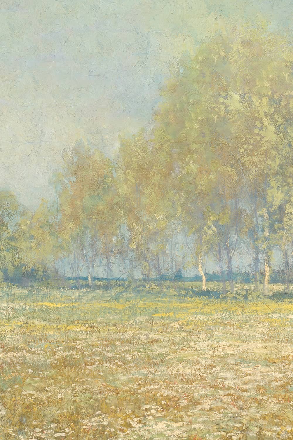 Papier peint La Prairie