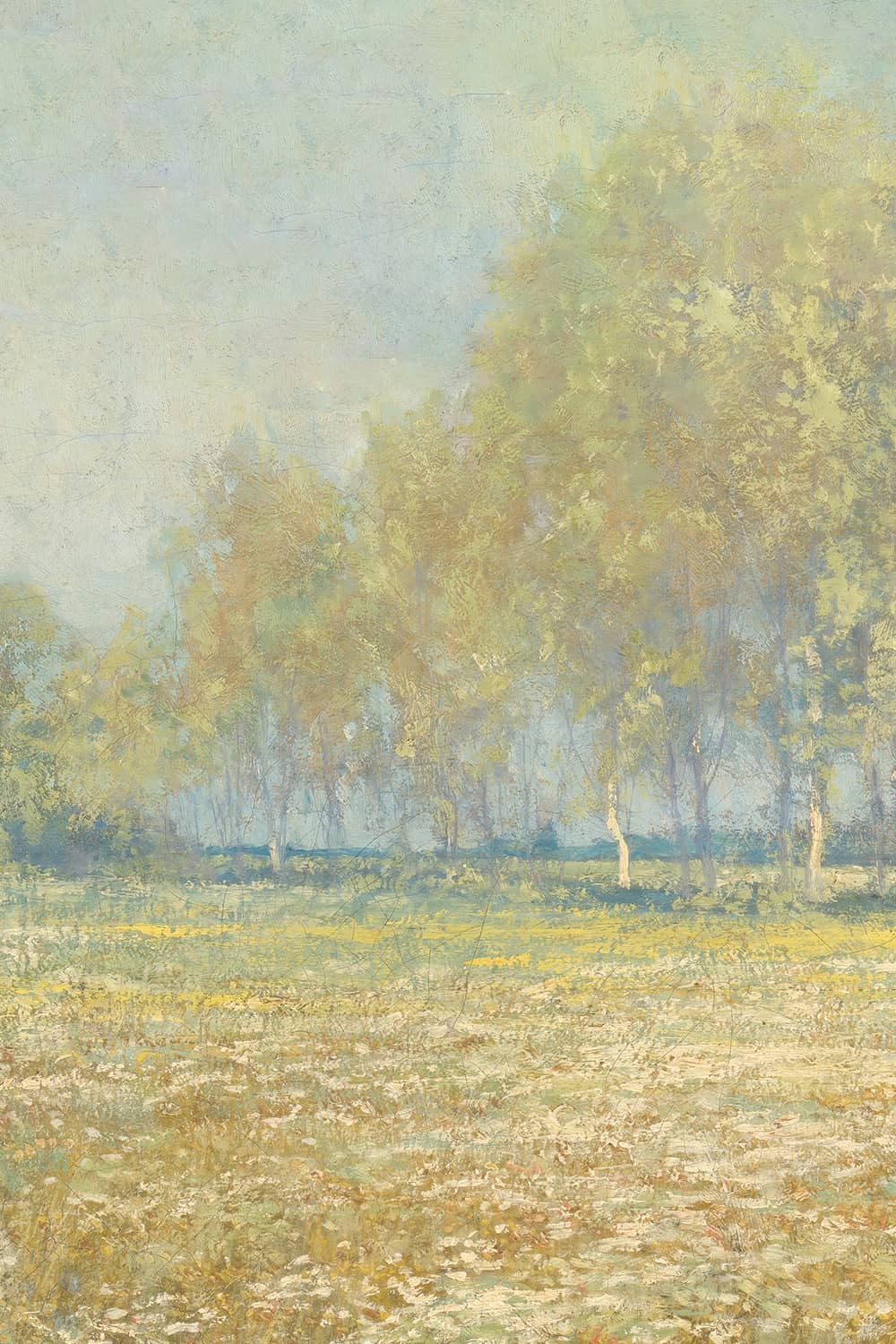 Papier peint La Prairie