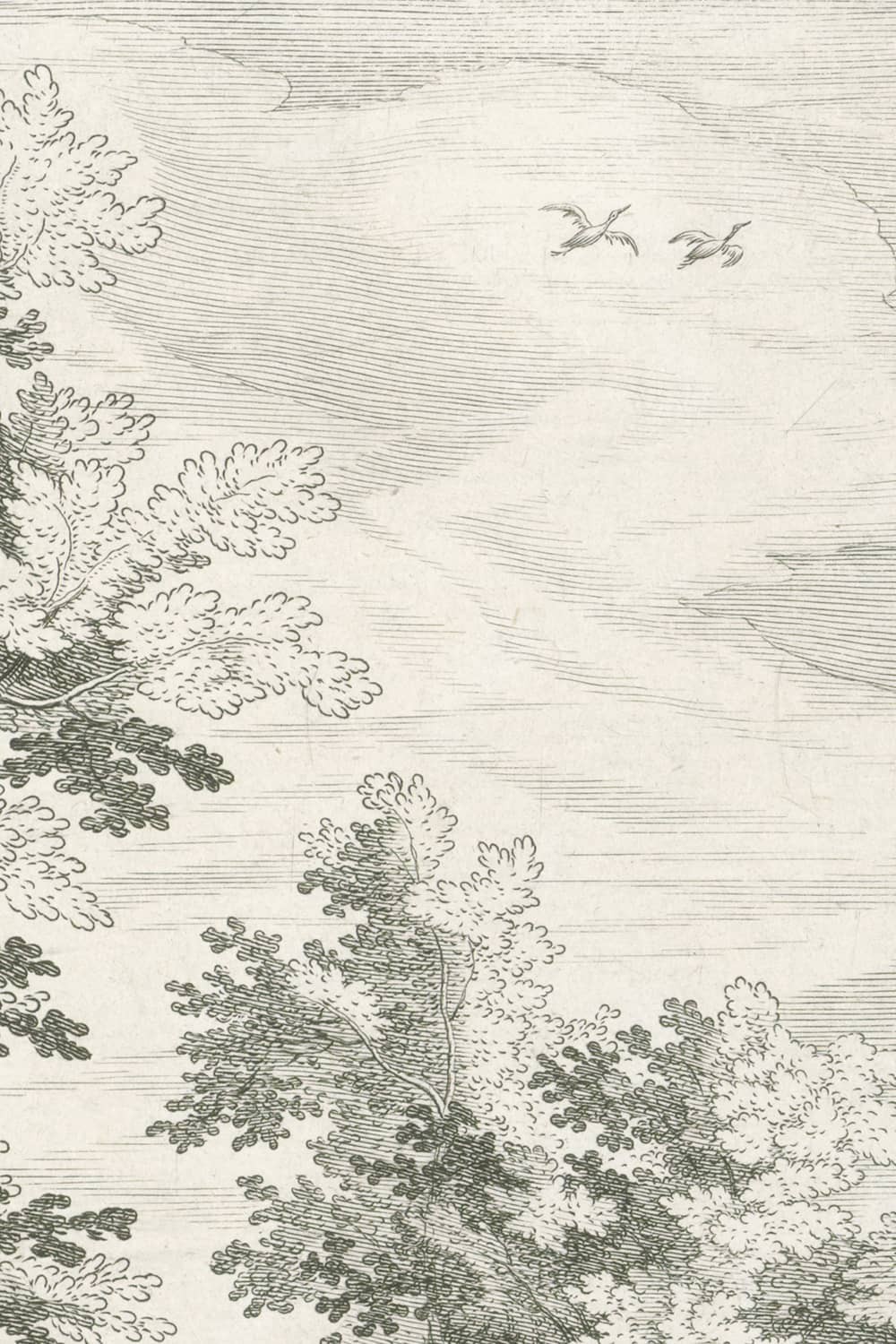 Zoom gravure du ciel papier peint forêt panoramique Le Bois de Jacques