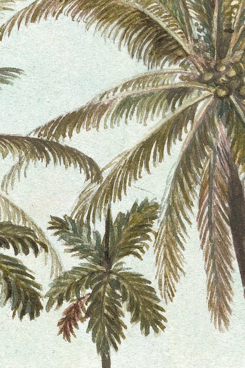 Papier peint Voyage à Java