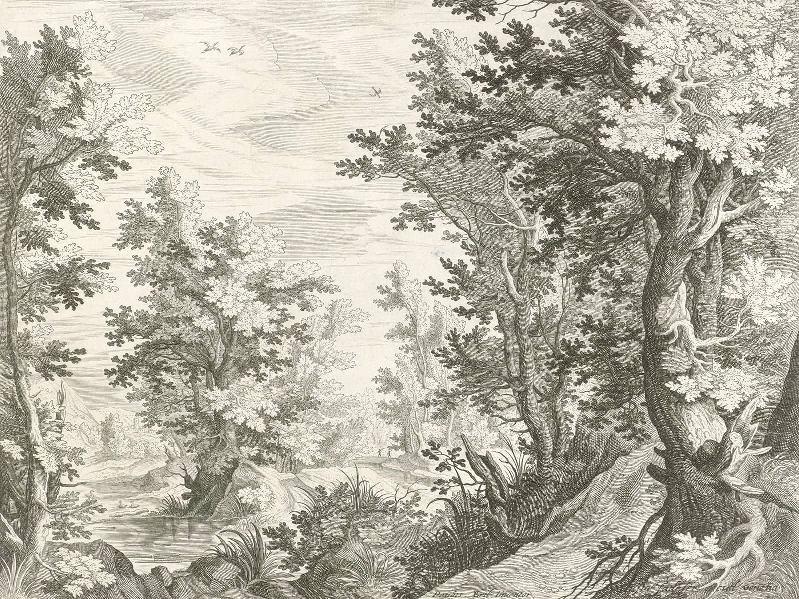 Aperçu panoramique - Papier peint Le bois de Jacques