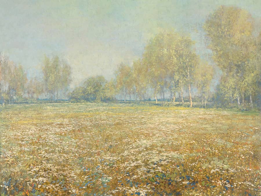 Aperçu panoramique - Papier peint La Prairie